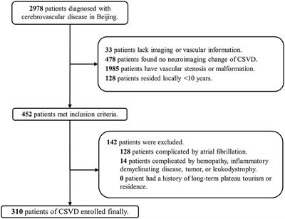 Cerebral small-vessel disease at high altitude: A comparison of patients from plateau and plain